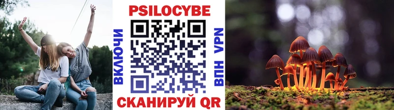 Псилоцибиновые грибы мицелий  Яхрома 
