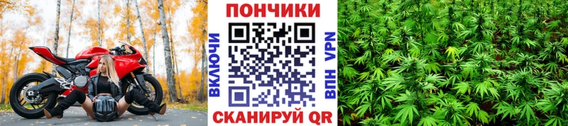 darknet клад  Яхрома  Шишки марихуана ГИДРОПОН 